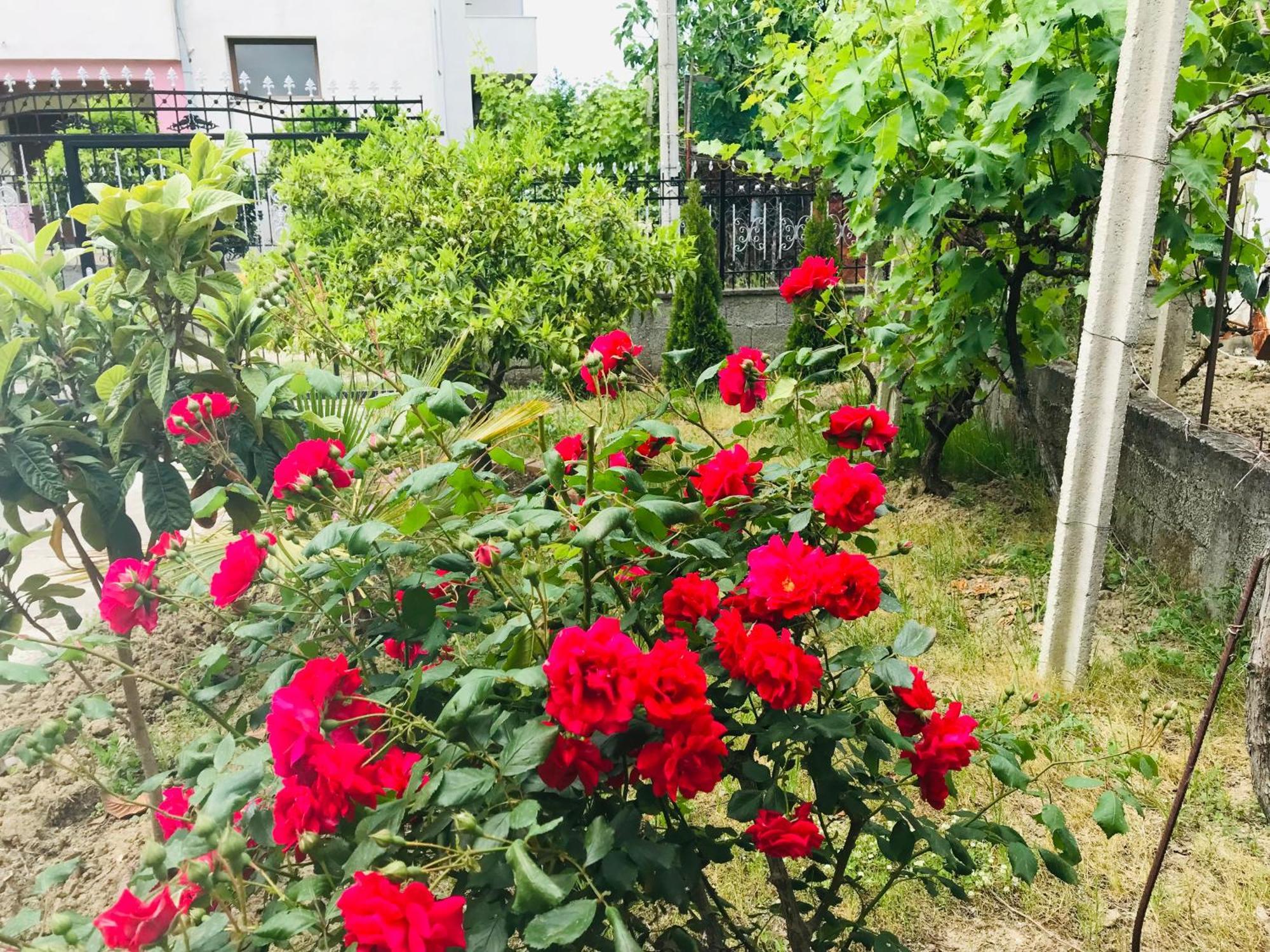 Villa Ajla Durrës Exterior foto